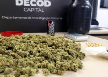 Foto: Divulgação - PCSC.