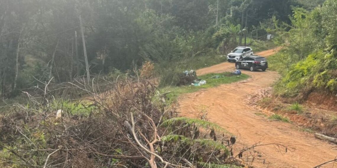 Foto: Divulgação.