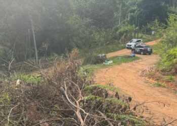 Foto: Divulgação.