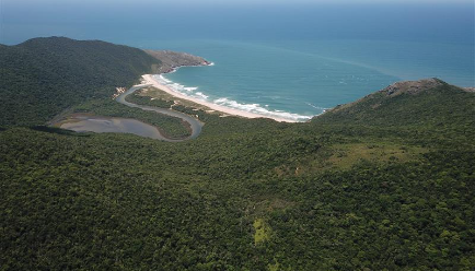 Foto: Divulgação - MPSC.