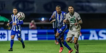 Foto: Fabiano Rateke - Avaí F.C.