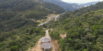 Foto: Divulgação - yvyrupa.org - Agora Floripa.