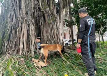 Foto: Divulgação - PCSC - Agora Floripa.