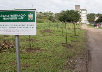 Foto: Reprodução - UFSC.