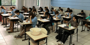 Foto: Divulgação - PMF - Agora Floripa.