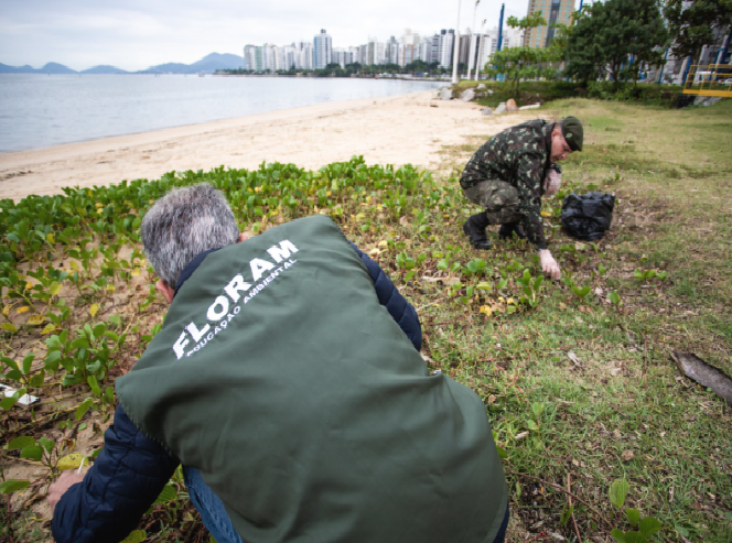 Foto: Divulgação - PMF - Agora Floripa.