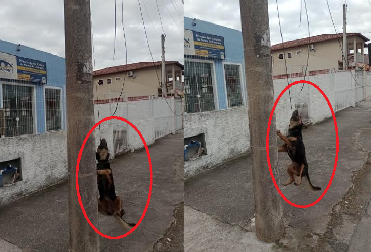 Foto: Divulgação - Agora Floripa.