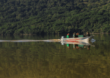 Foto: Divulgação - Andy Puerari - PMF.