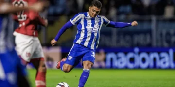 Foto: Fabiano Rateke - Avaí F.C.