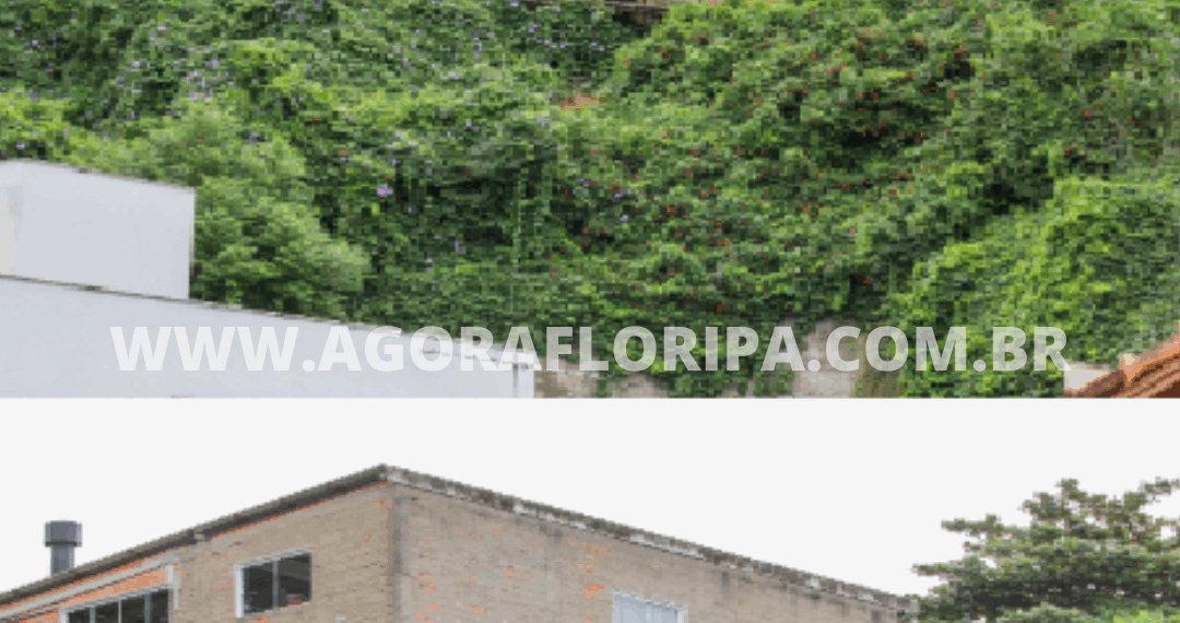 Foto: Divulgação - MPSC - Agora Floripa.