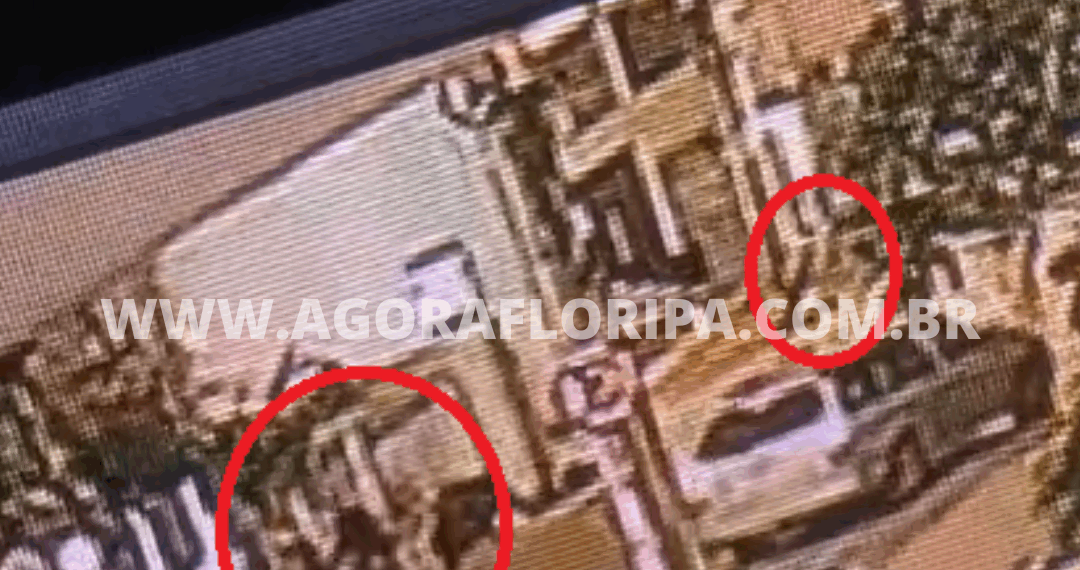 Foto: Divulgação - Agora Floripa.