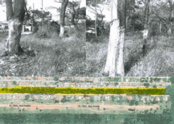 Foto: Reprodução - MPSC.