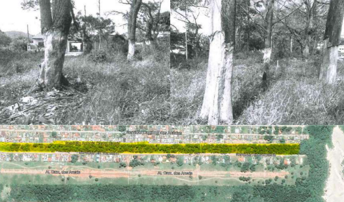 Foto: Reprodução - MPSC.