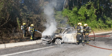 Foto: Divulgação - CBMSC - Agora Floripa.