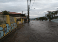Foto: Divulgação - Agora Floripa.