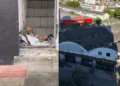 Foto: Divulgação - Agora Floripa.
