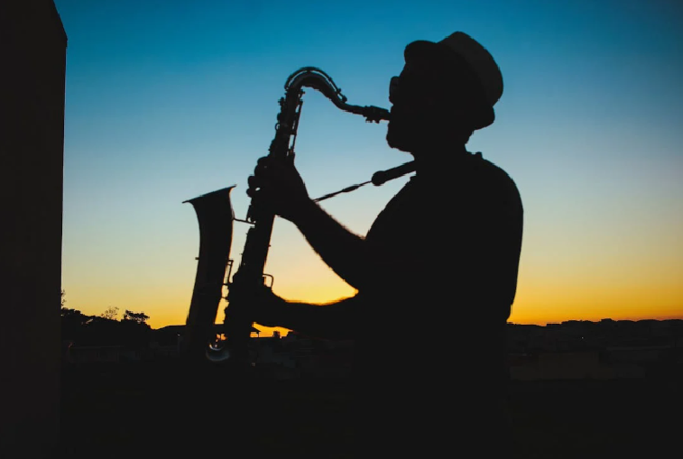 Foto: Divulgação - Pexels.