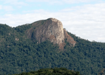 Foto: Divulgação - Agora Floripa.