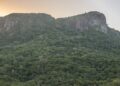 Foto: Divulgação - PMP - Agora Floripa.
