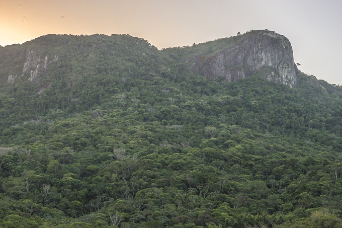 Foto: Divulgação - PMP - Agora Floripa.