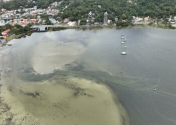Foto: Divulgação-PMF.