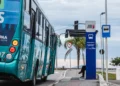 Foto: Divulgação - PMSJ - Agora Floripa.