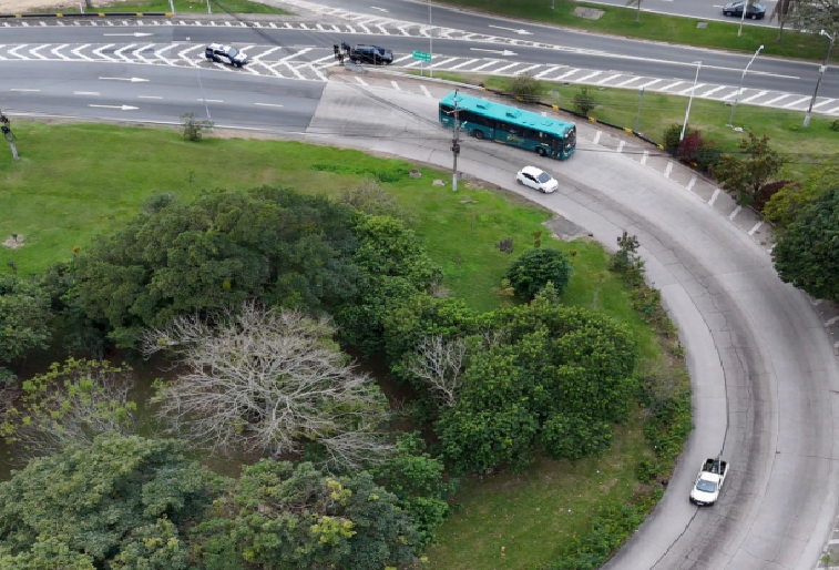 Foto: Divulgação - PMF - Agora Floripa.