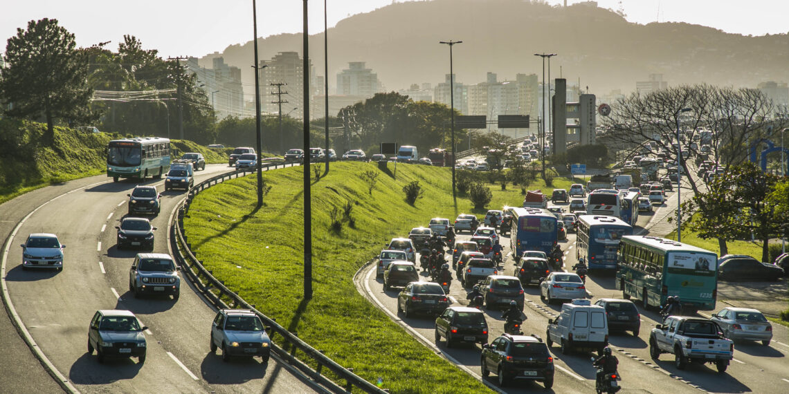 Foto: Divulgação - PMF - Agora Floripa.