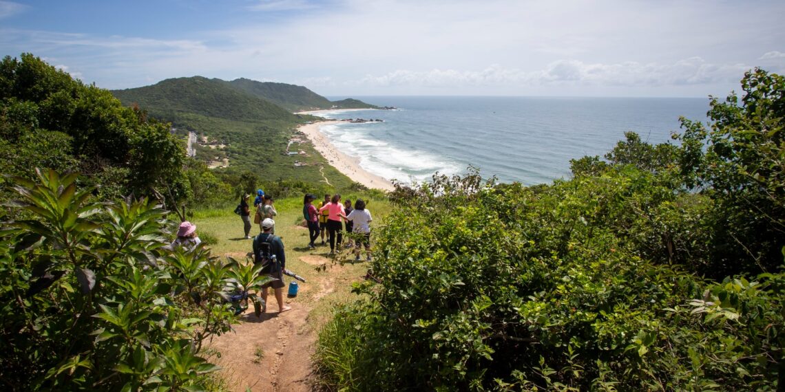 Foto: Divulgação - PMF - Agora Floripa.