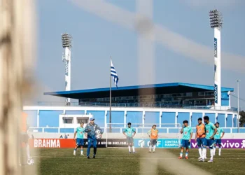 Foto: Leandro Boeira - Avaí F.C.