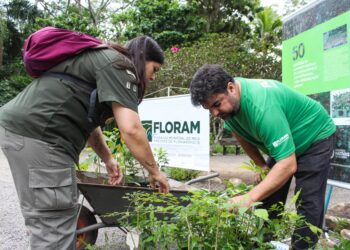 Foto: Marcos Albuquerque-PMF.