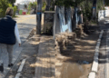 Foto: Divulgação - Agora Floripa.