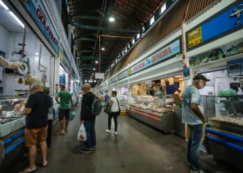 Foto: Divulgação - PMF - Agora Floripa.