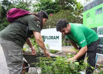 Foto: Marcos Albuquerque-PMF.